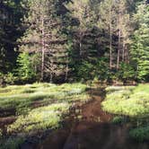 Review photo of Seaton Creek Campground by Erin E., July 5, 2017