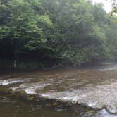 Review photo of Platte River Campground — Sleeping Bear Dunes National Lakeshore by Erin E., July 5, 2017