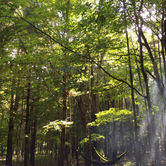 Review photo of Platte River Campground — Sleeping Bear Dunes National Lakeshore by Erin E., July 5, 2017