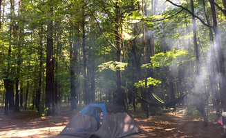 Erin E.'s photo at Platte River Campground — Sleeping Bear Dunes National Lakeshore near Arcadia, MI