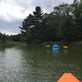 Review photo of Platte River Campground — Sleeping Bear Dunes National Lakeshore by Erin E., July 5, 2017