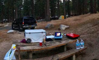 Chad F.'s photo at Davis Creek Regional Park in Nevada