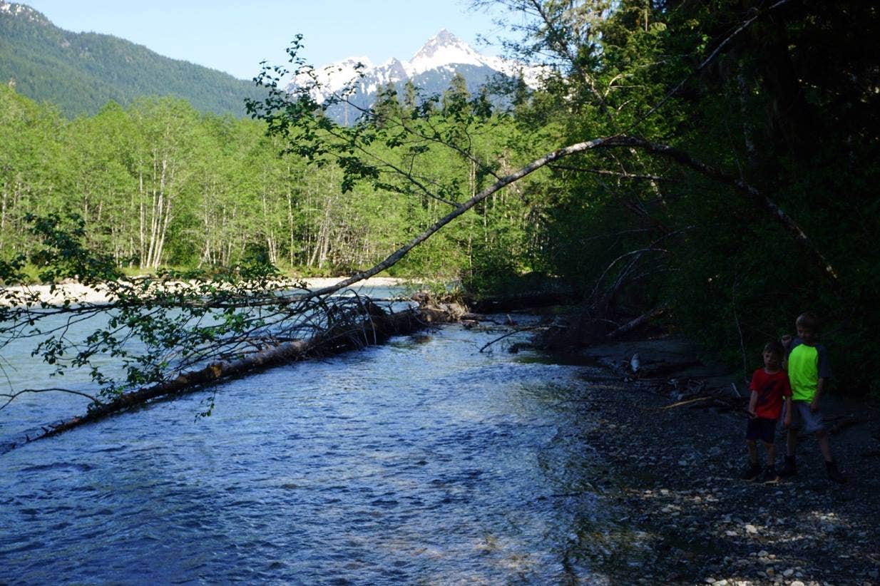 Camper submitted image from Silver Fir Campground - 3