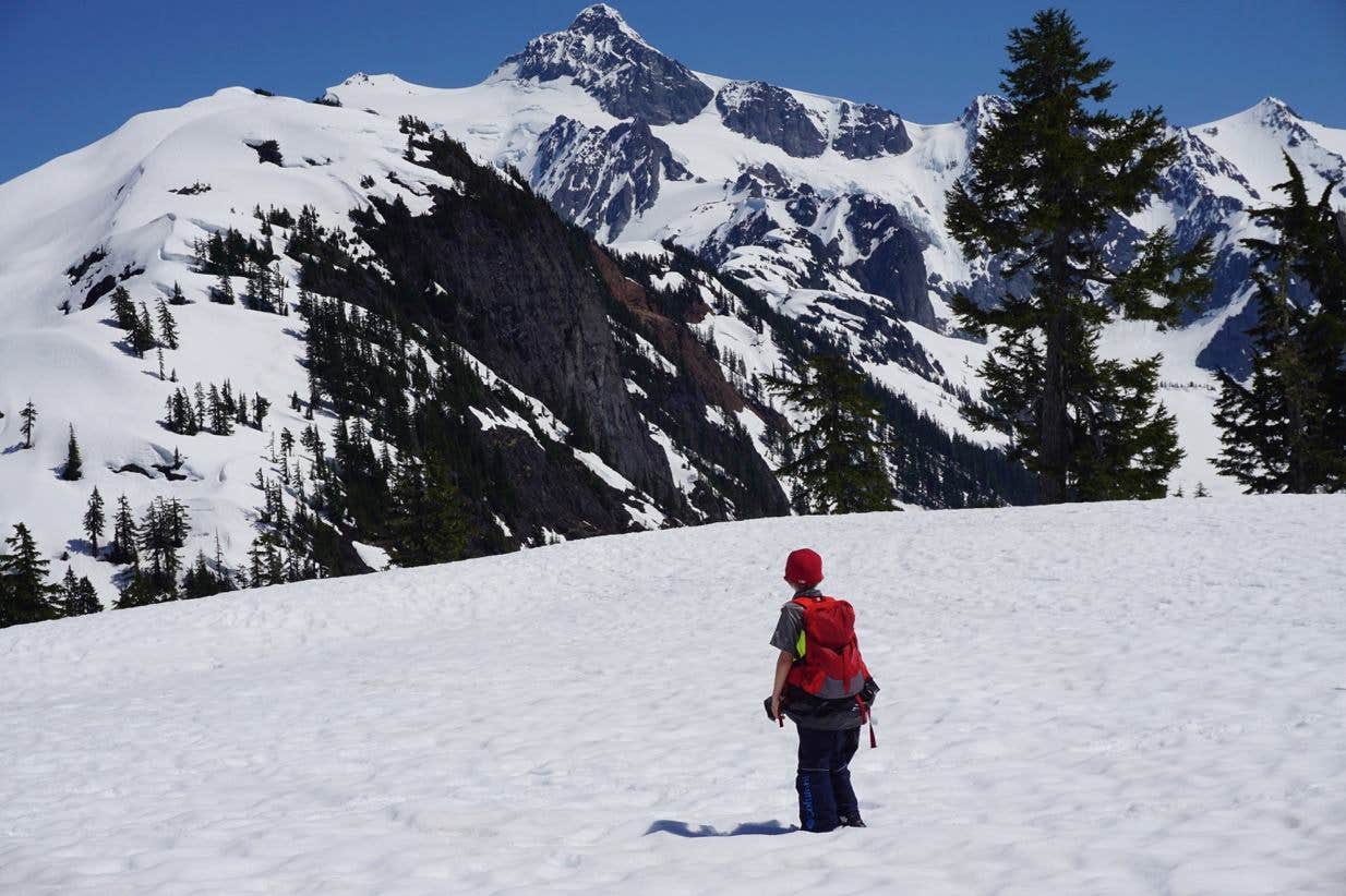 Camper submitted image from Silver Fir Campground - 3