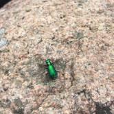 Review photo of Birch Lake by Jay H., July 4, 2017