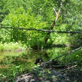 Review photo of Oklahoma Campground by Catherine S., July 5, 2017