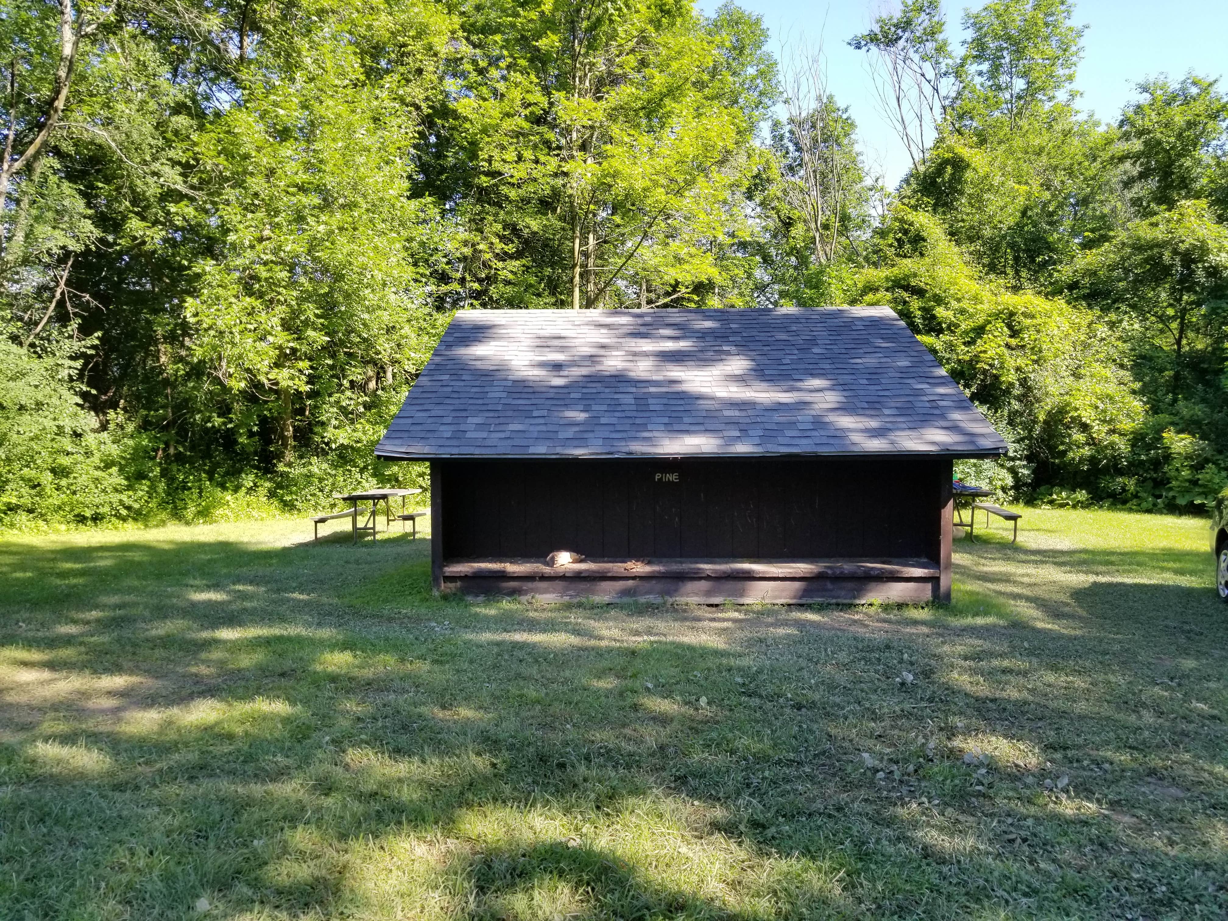 Camper submitted image from DAR State Park Campground - 2