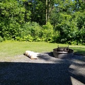Review photo of DAR State Park Campground by Laura E., July 5, 2017