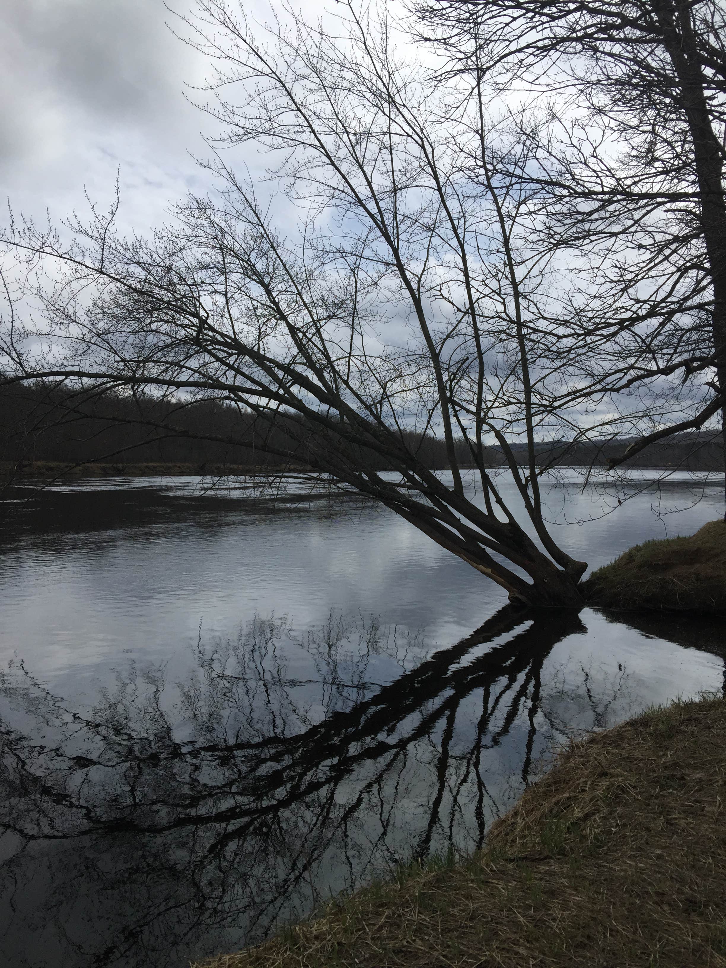 Camper-submitted photo at Wild River State Park Campground in Minnesota