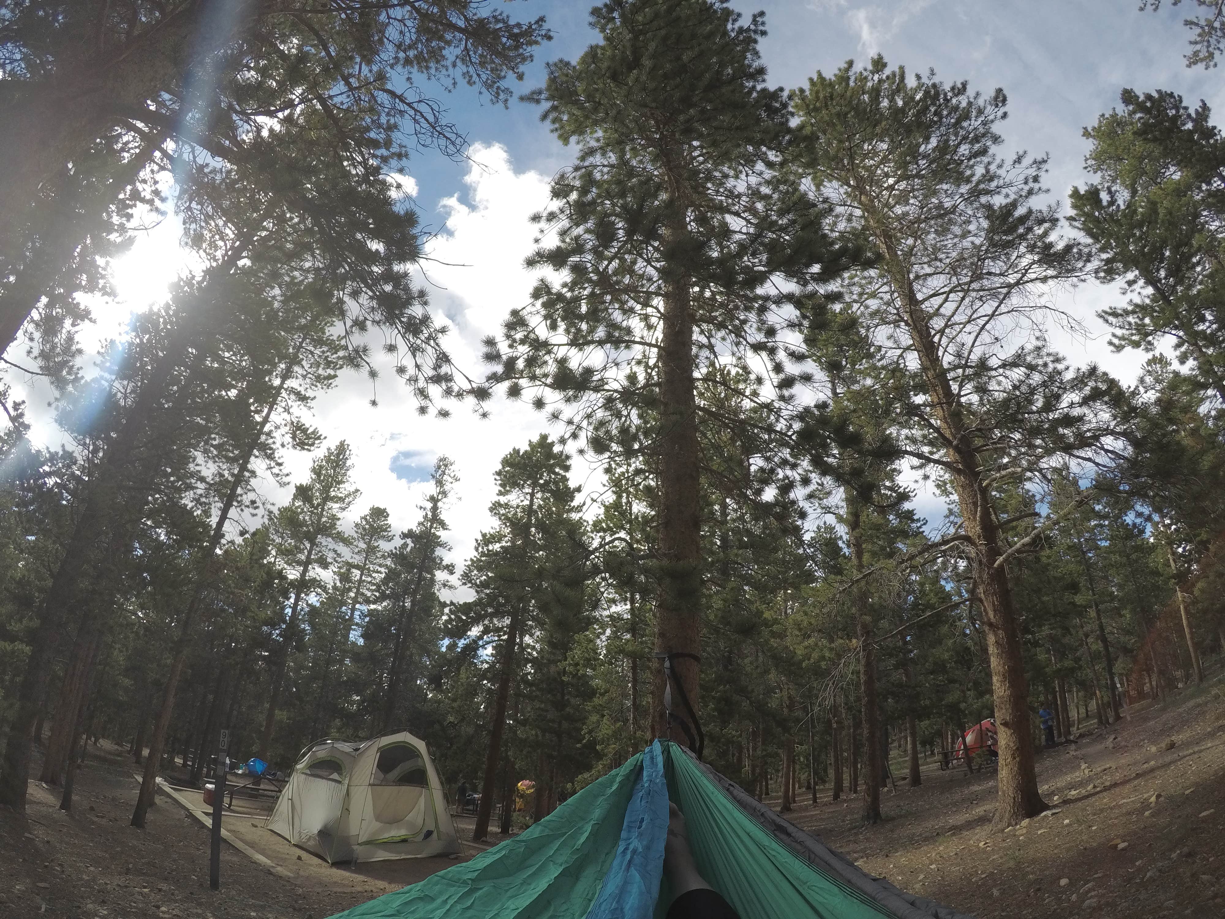 Amber B.'s photo at Deer Creek Campground — Golden Gate Canyon near Denver, CO