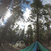 Review photo of Deer Creek Campground — Golden Gate Canyon by Amber B., July 5, 2017