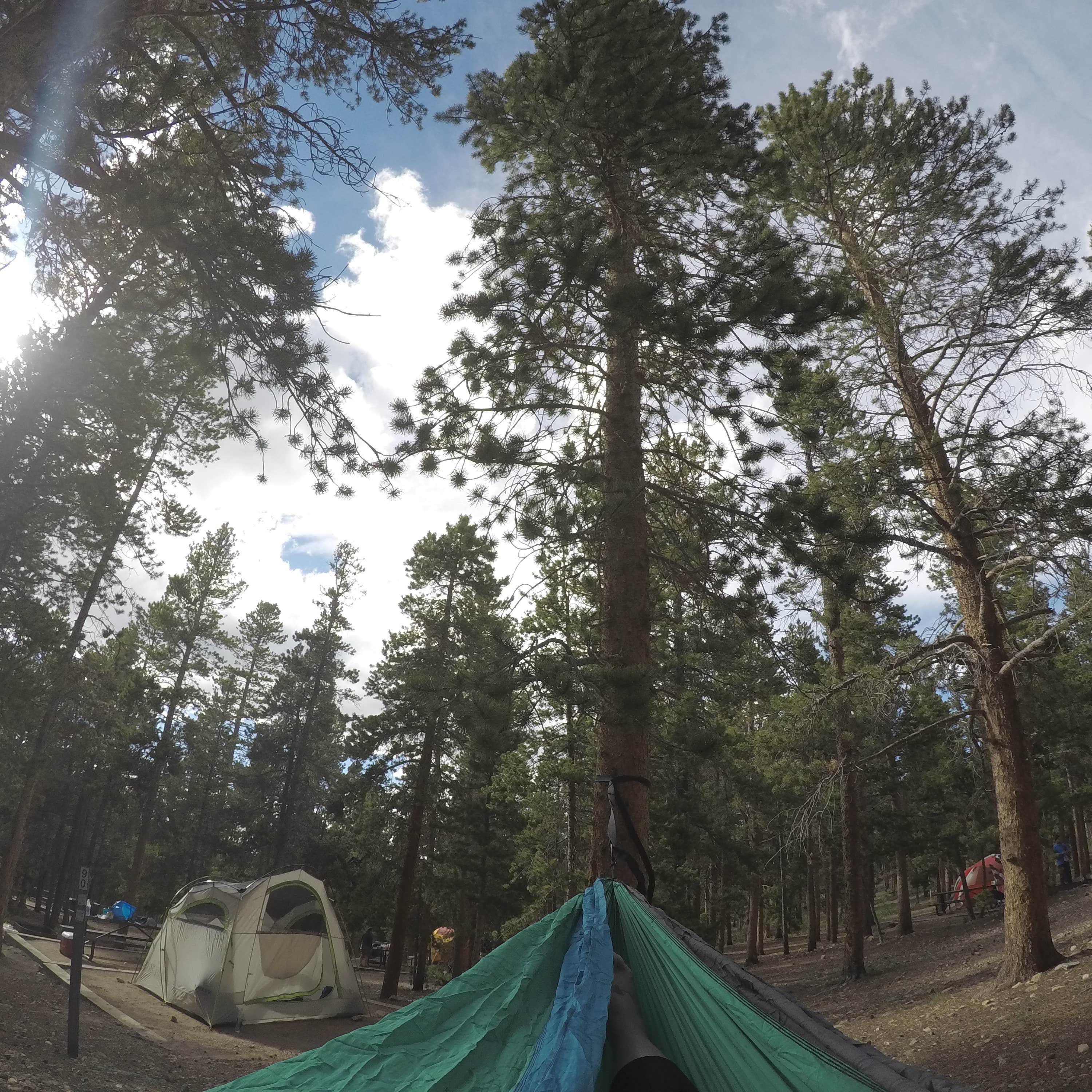 Escape to the Wilderness: Colorado's Deer Creek Campground