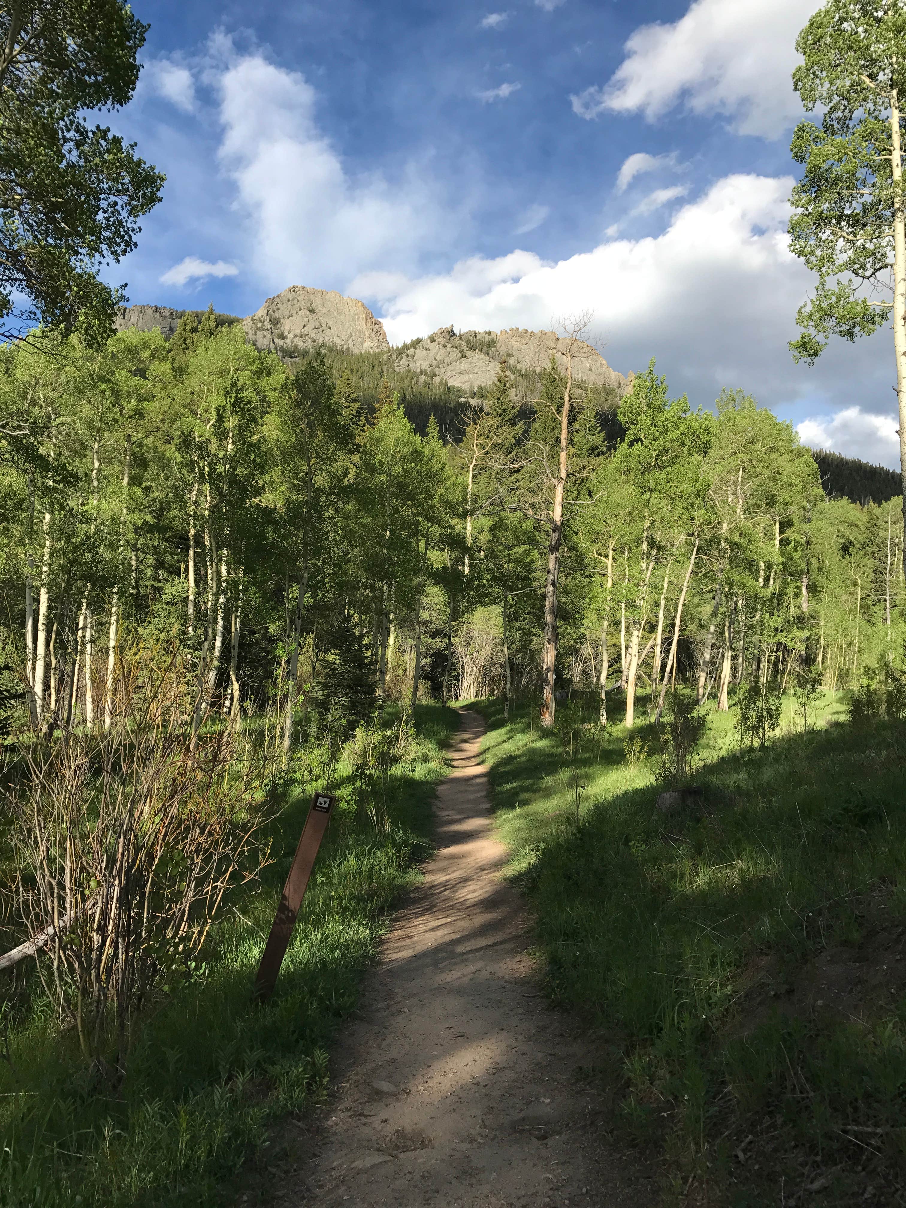Camper submitted image from Deer Creek Campground — Golden Gate Canyon - 4