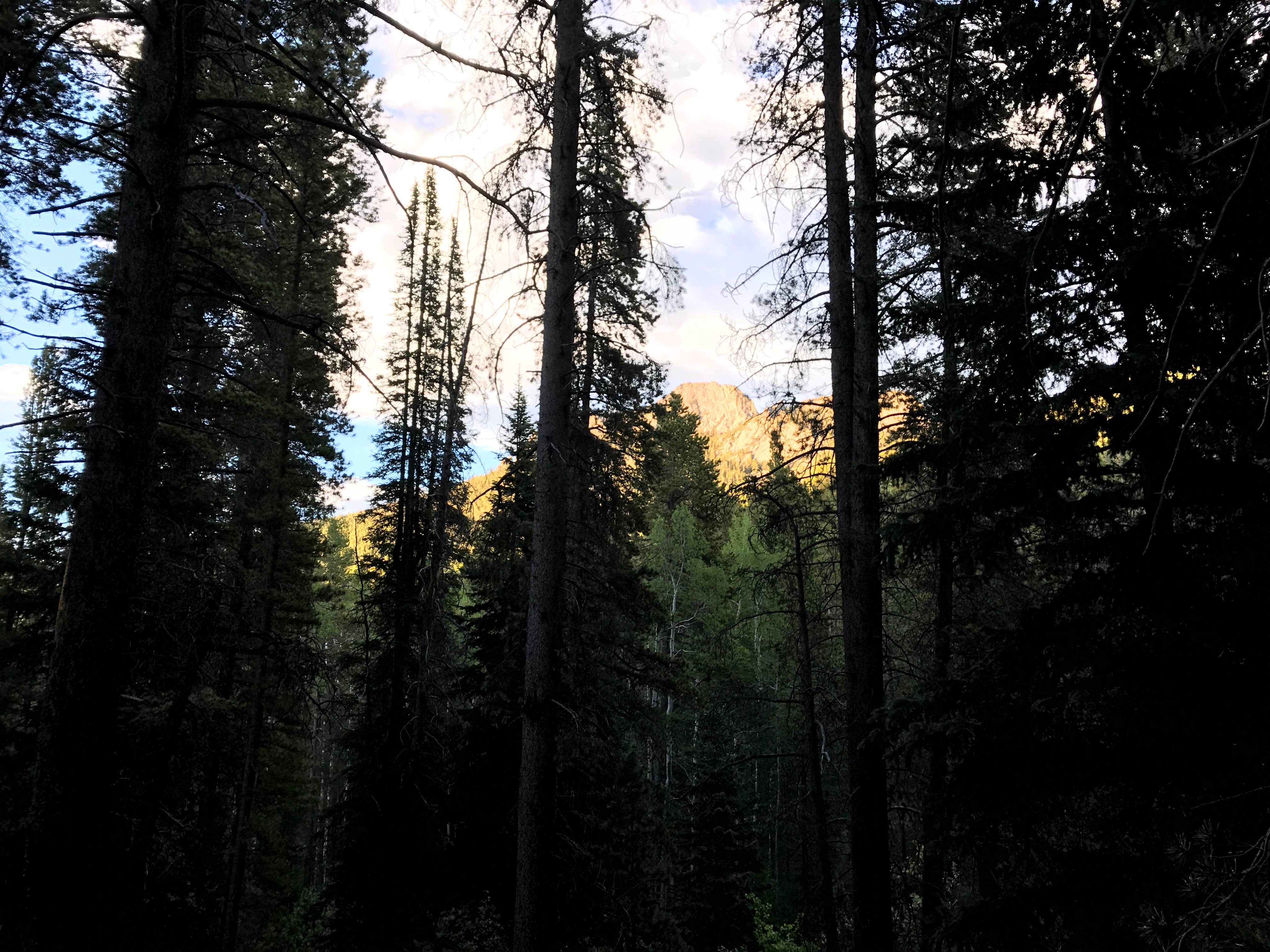 Deer Creek Campground — Golden Gate Canyon