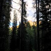 Review photo of Deer Creek Campground — Golden Gate Canyon by Amber B., July 5, 2017