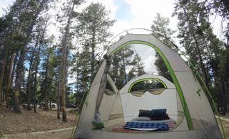 Camping near Winiger Ridge at Gross Reservoir: Deer Creek Campground — Golden Gate Canyon, Eldorado Springs, Colorado