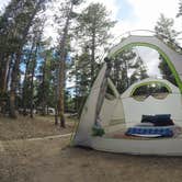 Review photo of Deer Creek Campground — Golden Gate Canyon by Amber B., July 5, 2017