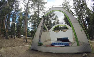 Amber B.'s photo at Deer Creek Campground — Golden Gate Canyon near Arvada, CO