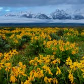 Review photo of Gros Ventre Campground — Grand Teton National Park by Chad F., July 5, 2017