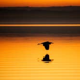 Review photo of Bombay Beach - Salton Sea State Rec Area by Chad F., July 5, 2017
