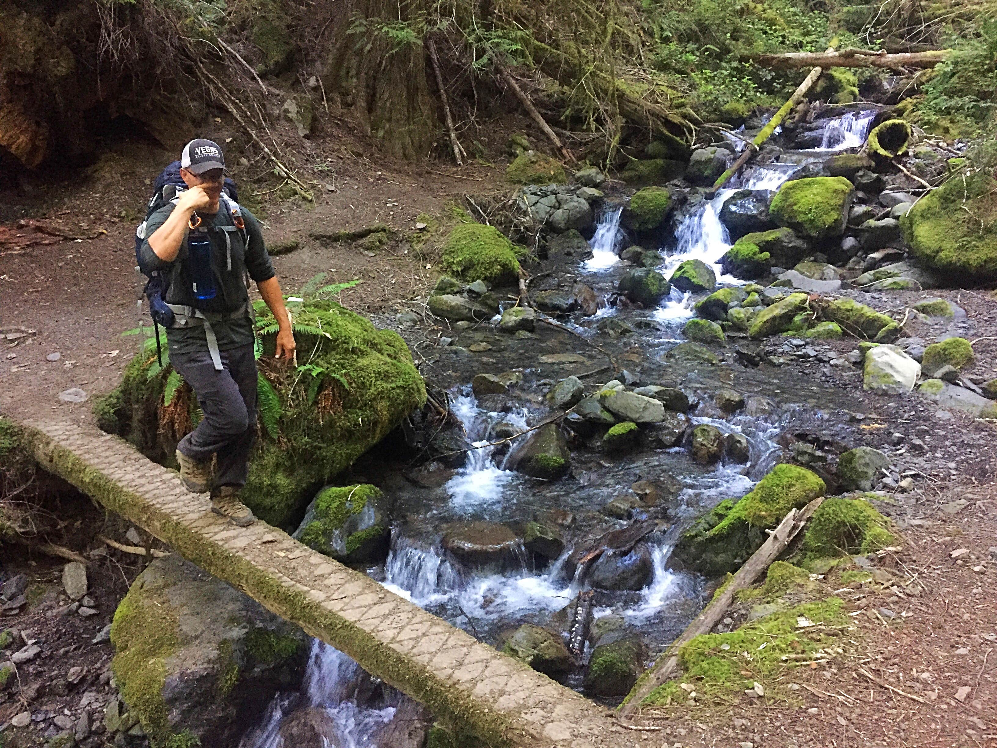 Camper submitted image from Lillian — Olympic National Park - 2
