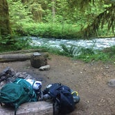 Review photo of Lillian — Olympic National Park by Lucy L., July 5, 2017