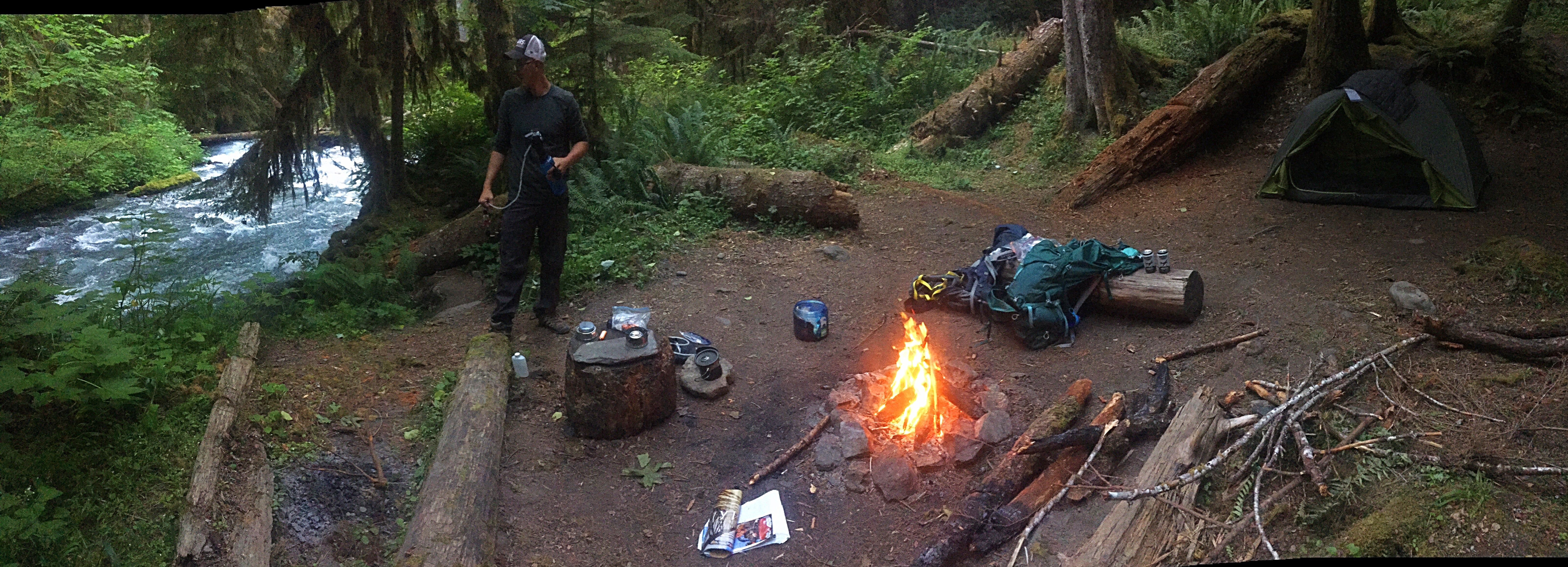 Camper submitted image from Lillian — Olympic National Park - 5