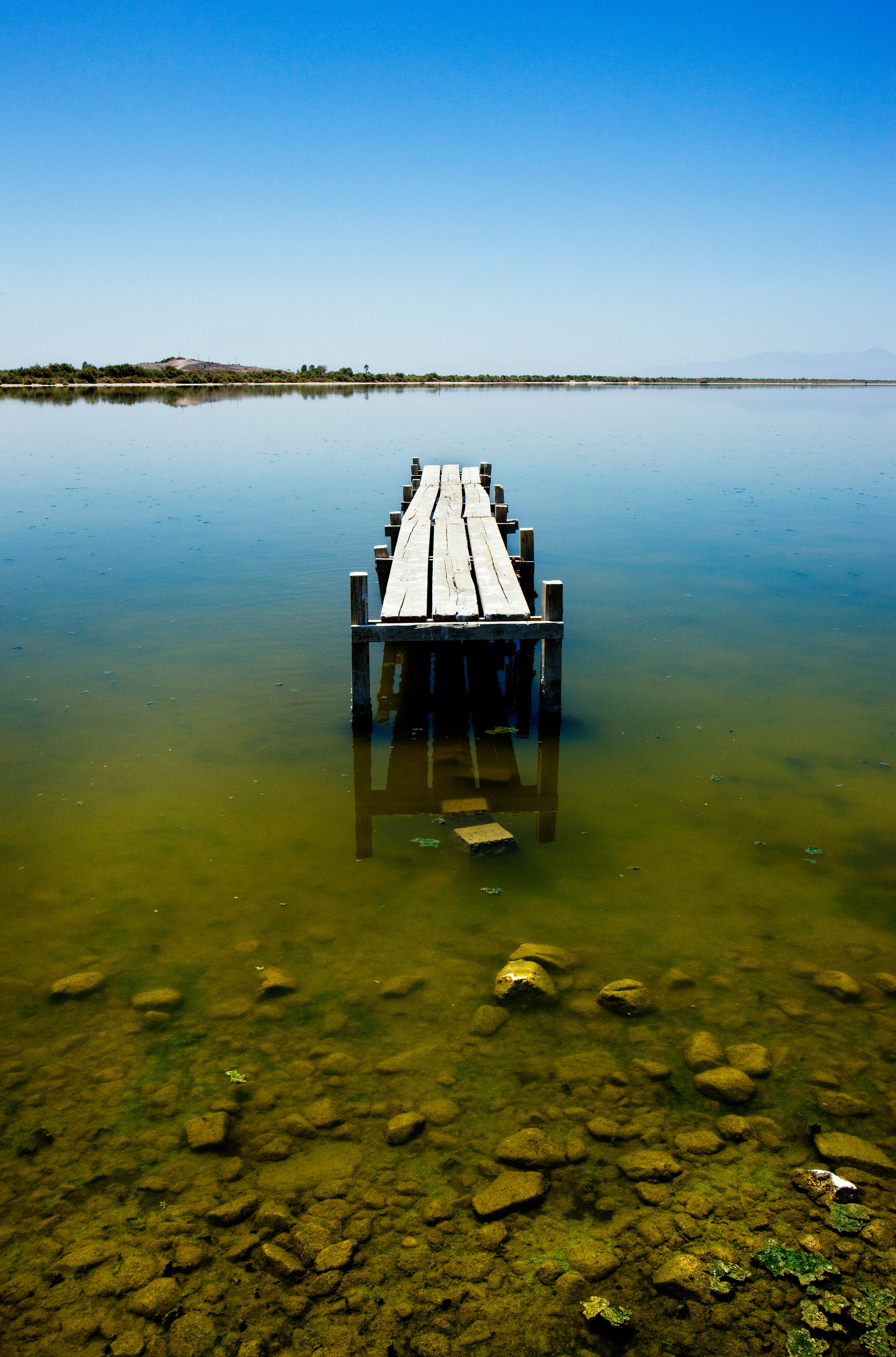 Camper-submitted photo at Red Hill Marina Park near Calexico, CA