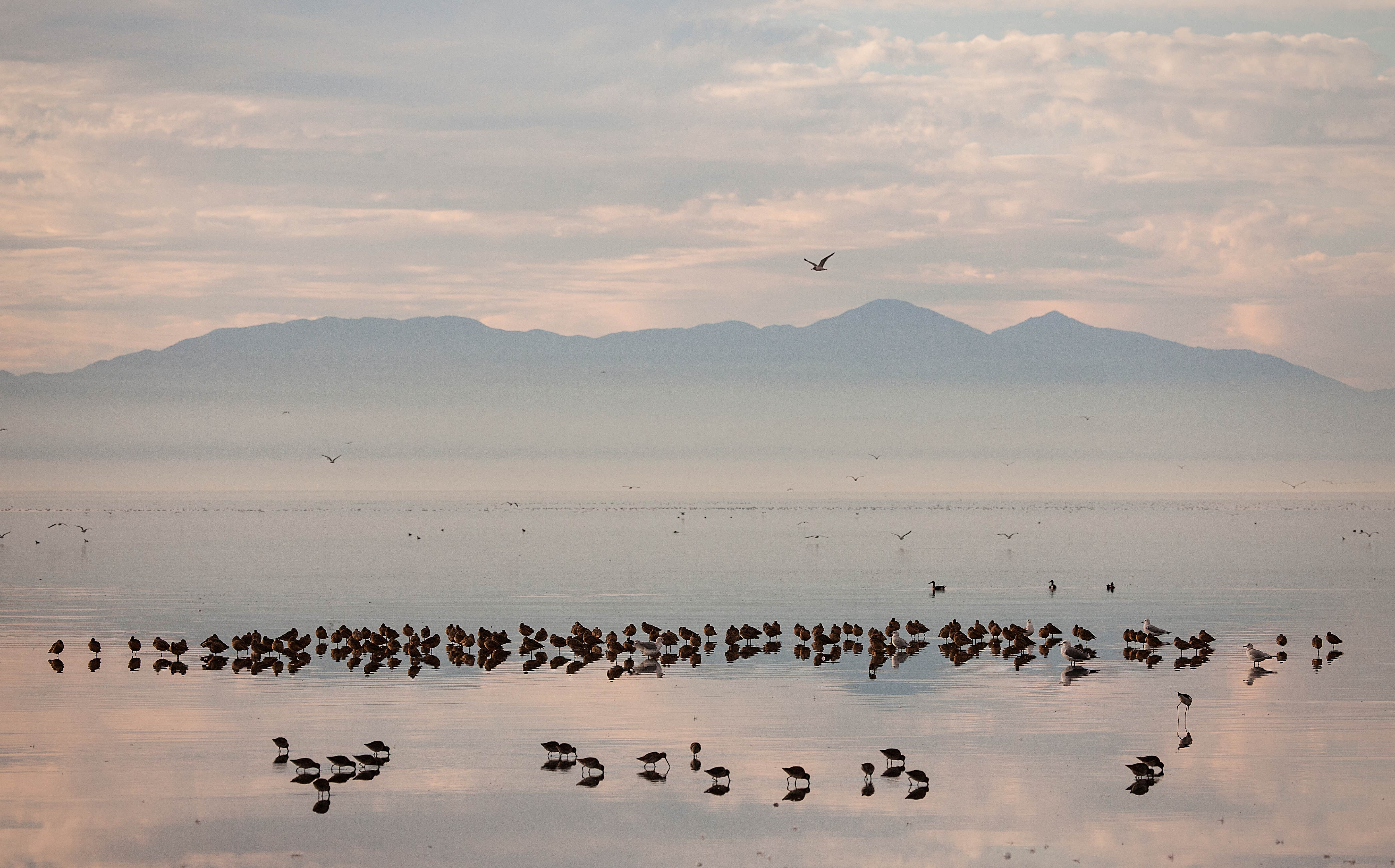 Camper-submitted photo at Red Hill Marina Park near Calexico, CA