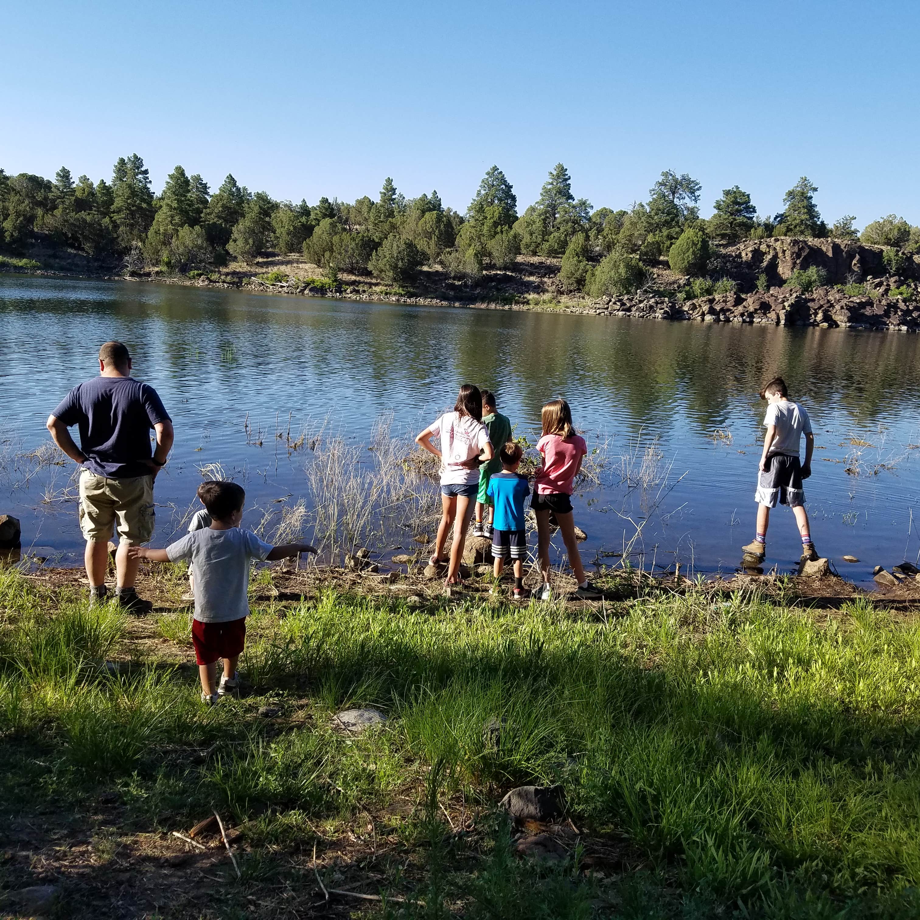 Escape to Fool Hollow: Arizona's Hidden Gem for Outdoor Adventures