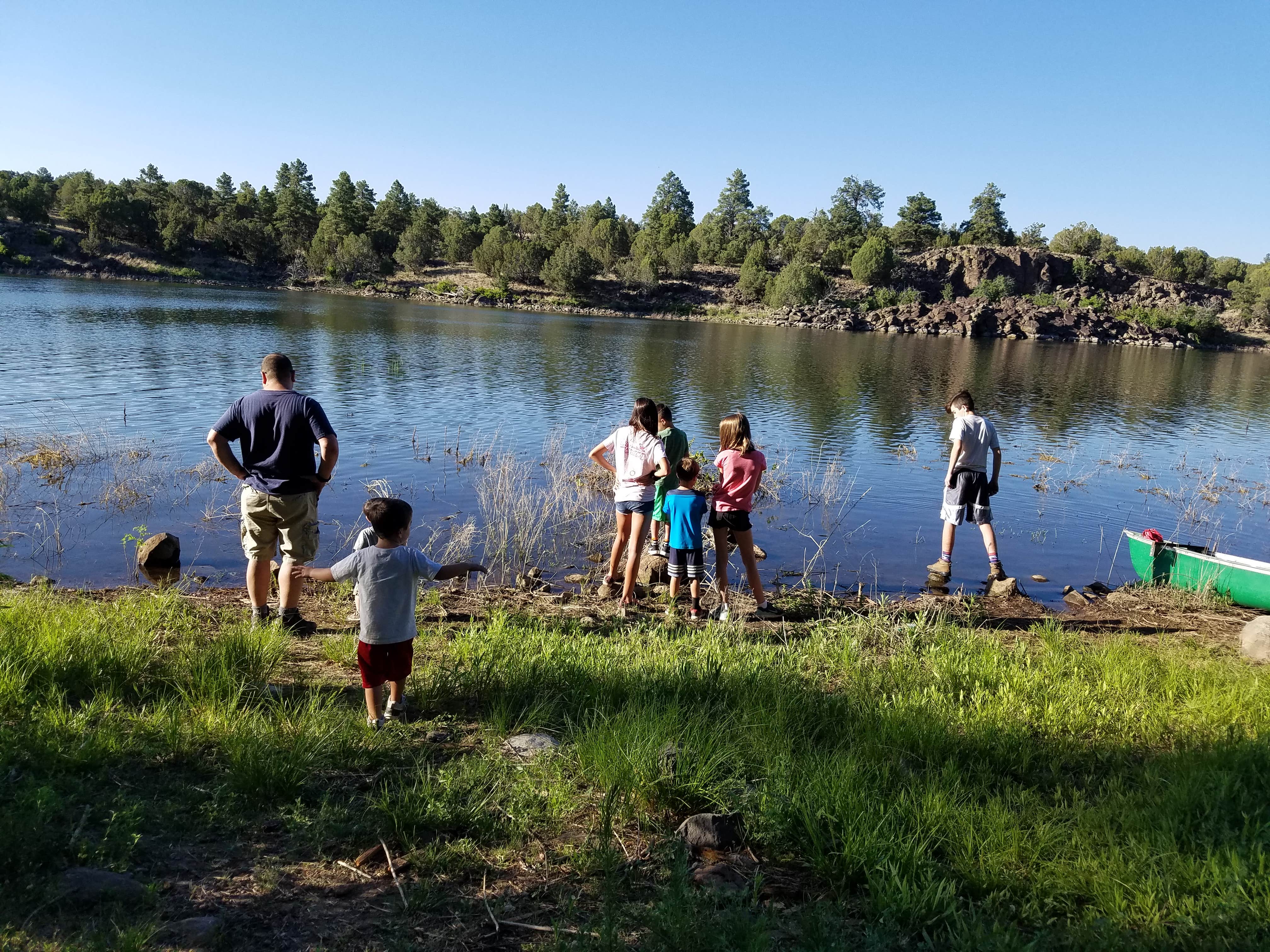 Camper submitted image from Fool Hollow Lake Recreation Area Campground - 3