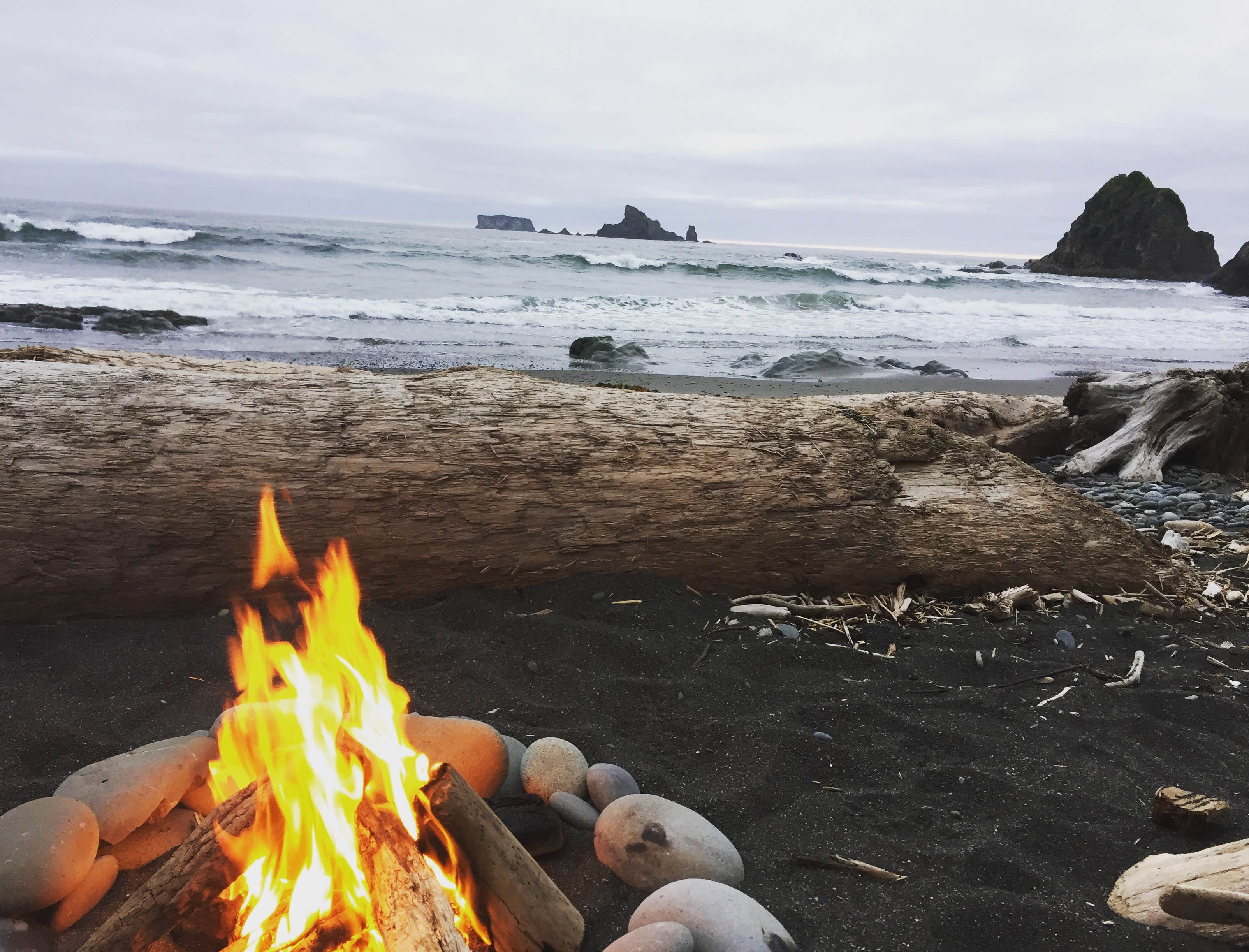 Camper-submitted photo at Mora Campground — Olympic National Park in Washington