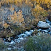 Review photo of Willow Campground by Chad F., July 5, 2017