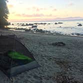 Review photo of Shi Shi Beach — Olympic National Park by Lucy L., July 6, 2017