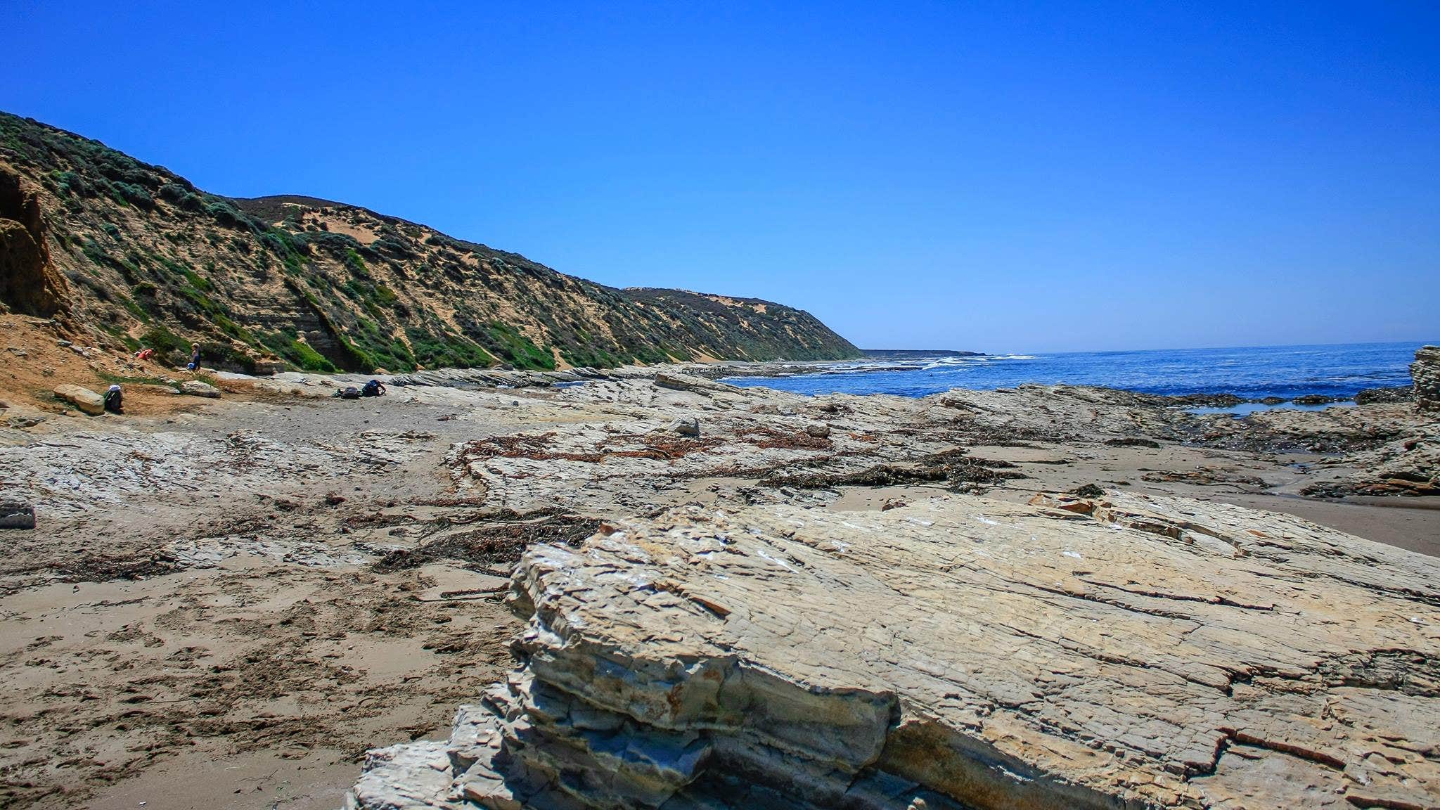 Camper-submitted photo at Islay Creek Campground — Montaña de Oro State Park near Pismo Beach, CA