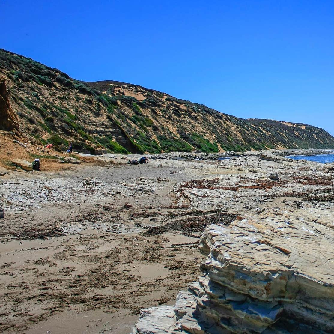 Islay Creek Campground - Montaña de Oro State Park Camping | The Dyrt