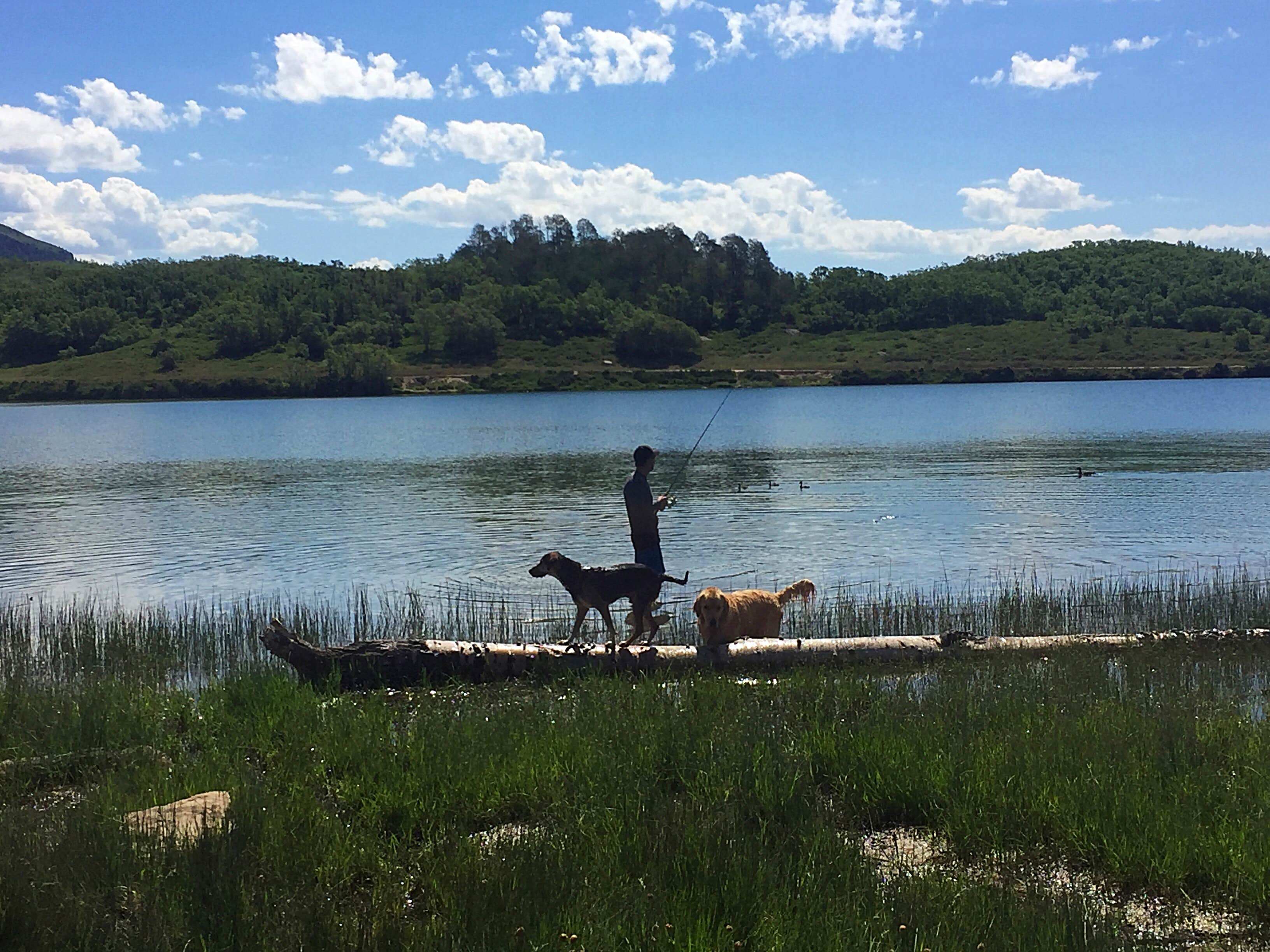 Camper submitted image from Gooseberry Reservoir Campground - 2