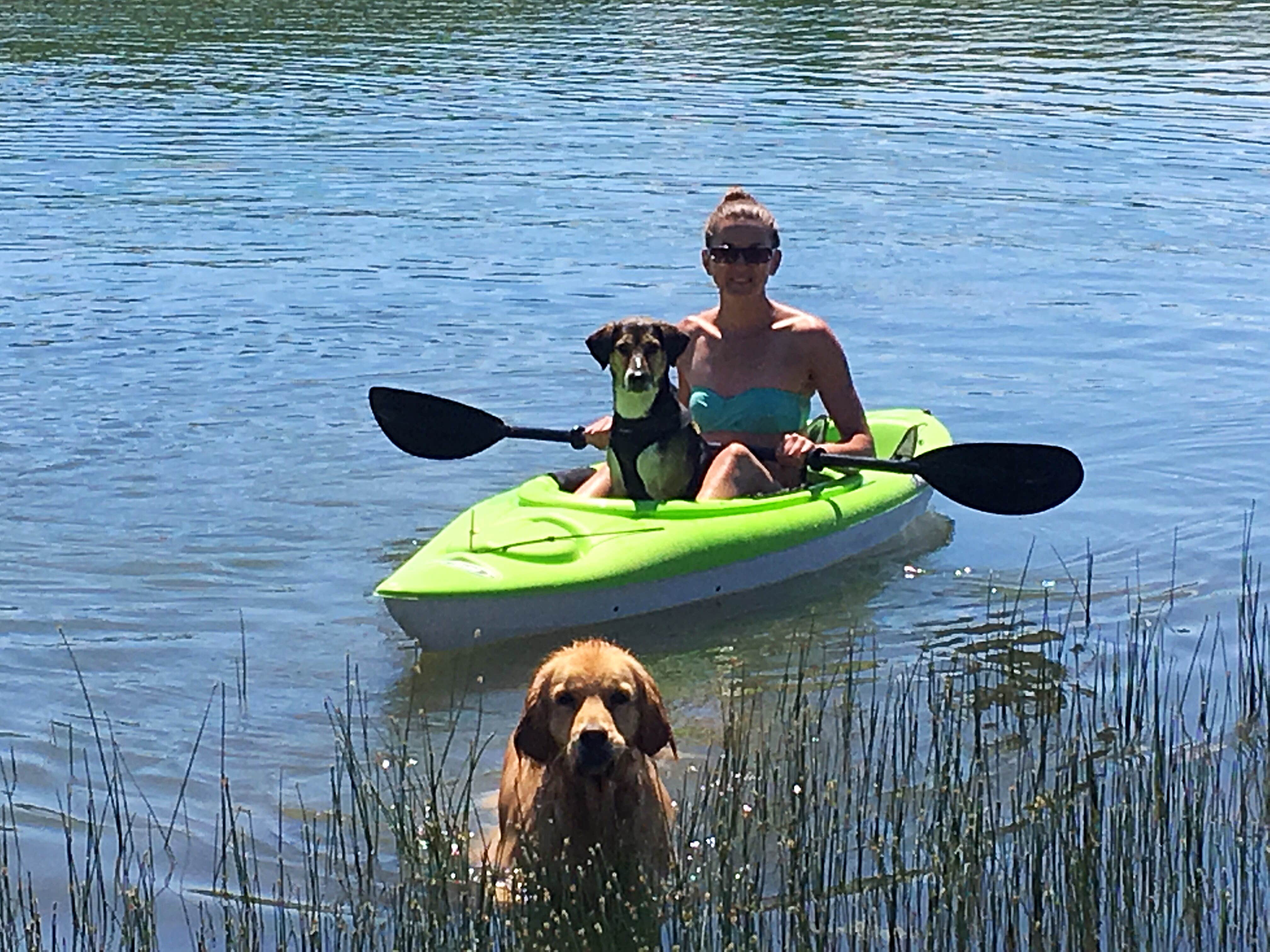 Camper submitted image from Gooseberry Reservoir Campground - 3