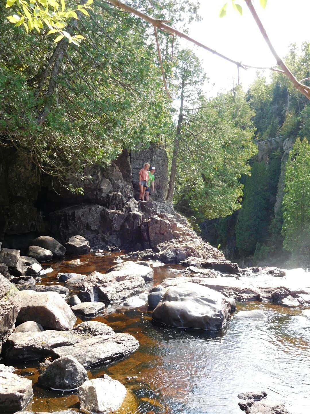 Camper submitted image from Judge C. R. Magney State Park Campground - 3