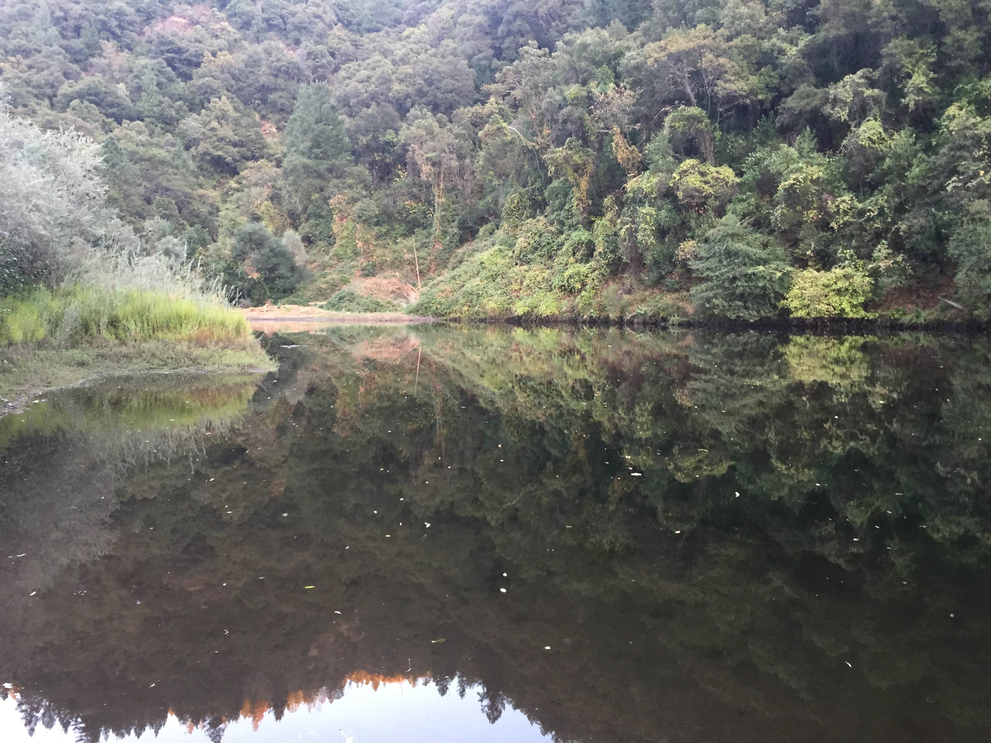 Camper-submitted photo at Ruck-A-Chucky Campground — Auburn State Recreation Area near Auburn, CA