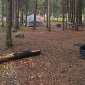 Review photo of Eckbeck Finland State Forest by Jessica L., July 6, 2017
