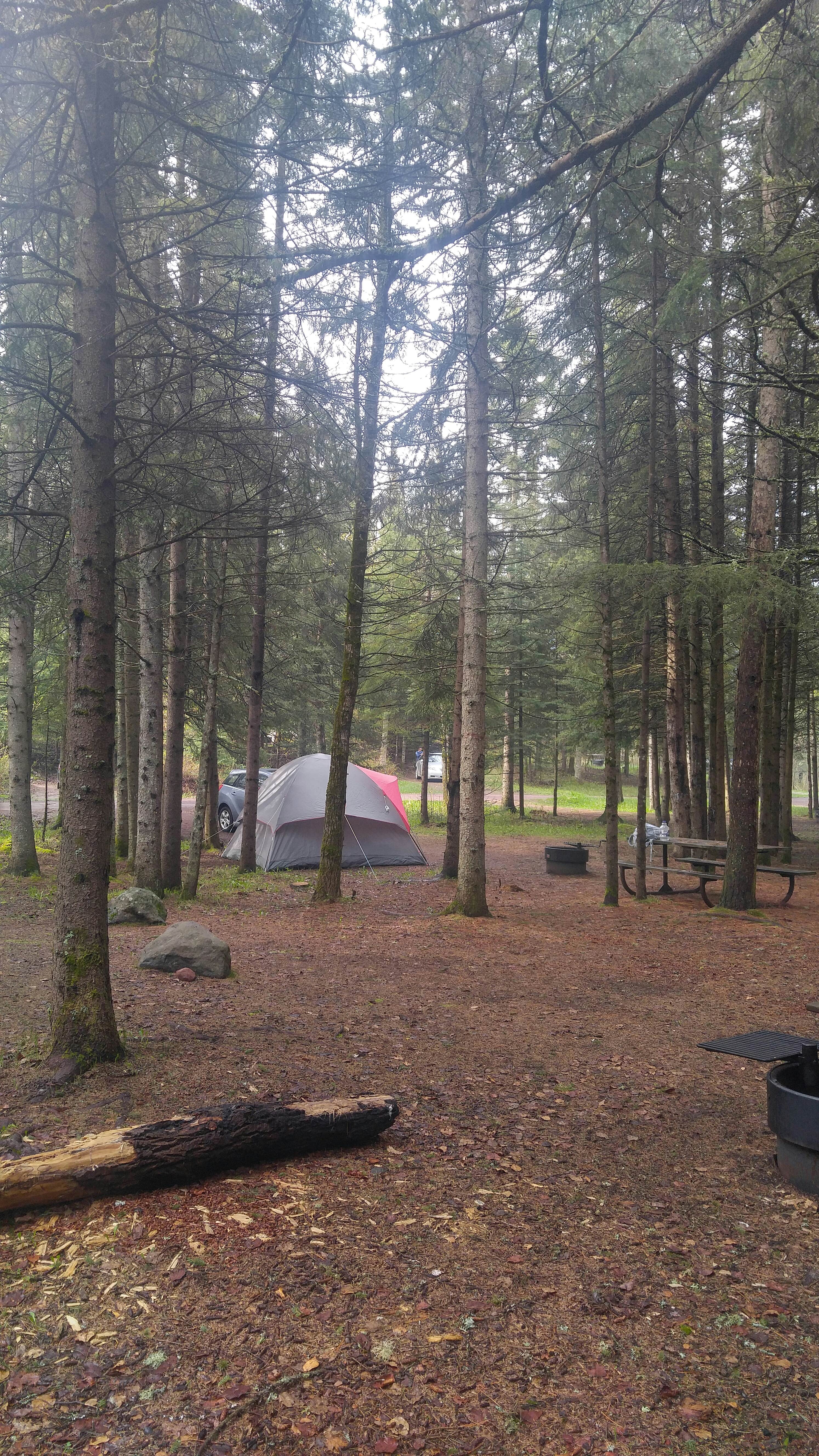 Camper submitted image from Eckbeck Finland State Forest - 3