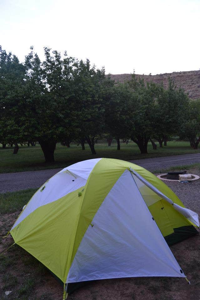 Campsites
