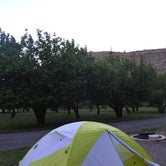 Review photo of Fruita Campground — Capitol Reef National Park by Dan G., June 24, 2016