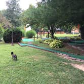 Review photo of Shawnee State Park Campground by Shelly S., July 6, 2017