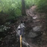 Review photo of Shawnee State Park Campground by Shelly S., July 6, 2017