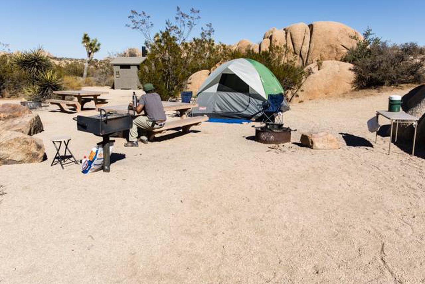 Camper submitted image from Jumbo Rocks Campground — Joshua Tree National Park - 5