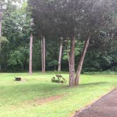 Review photo of Shawnee State Park Campground by Shelly S., July 6, 2017