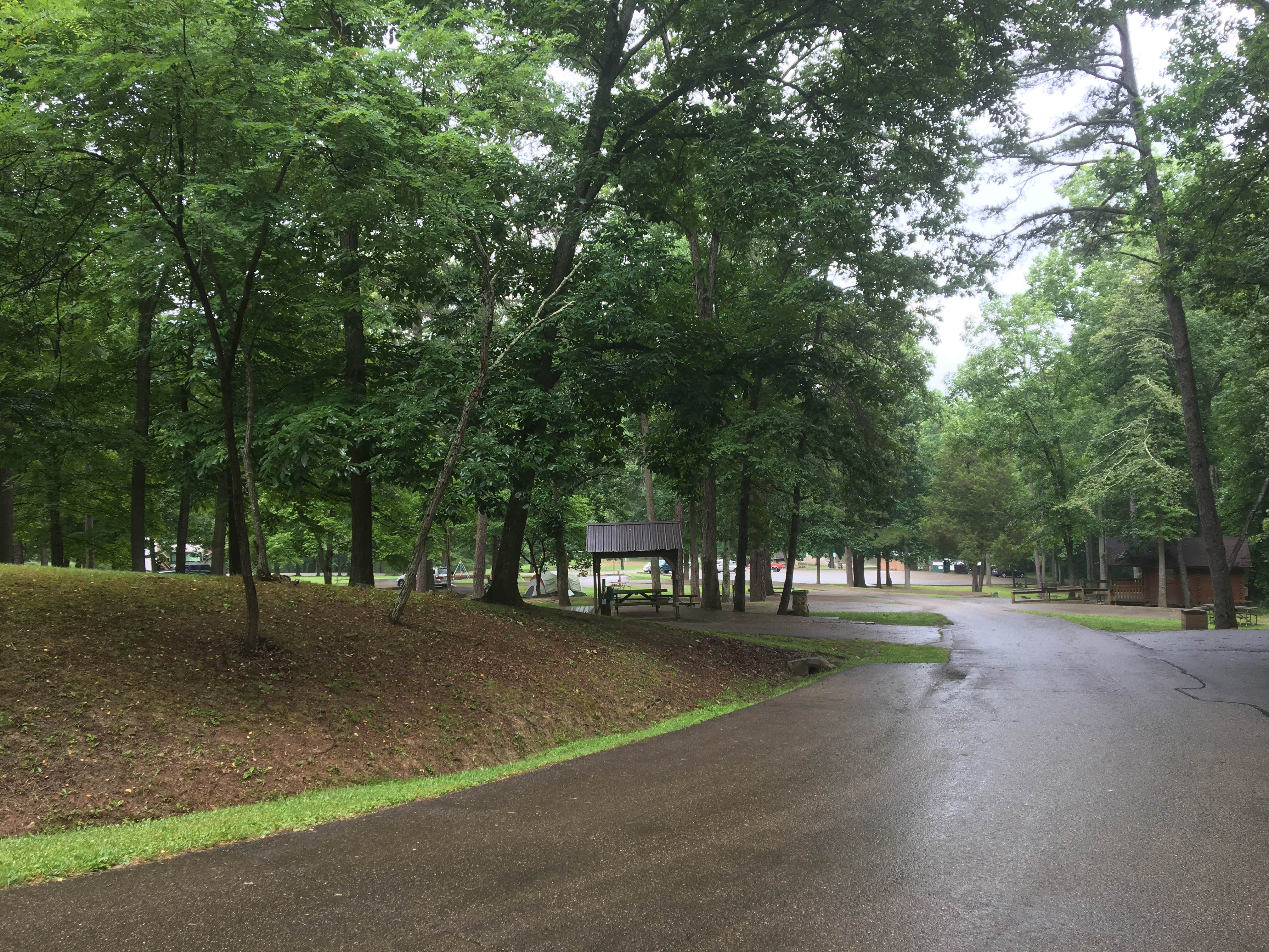 Camper submitted image from Shawnee State Park Campground - 3