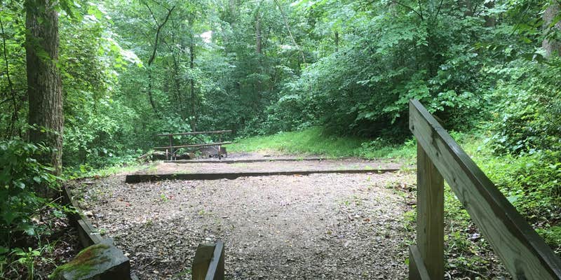 Camper submitted image from Shawnee State Forest Backpack Trail Campsites